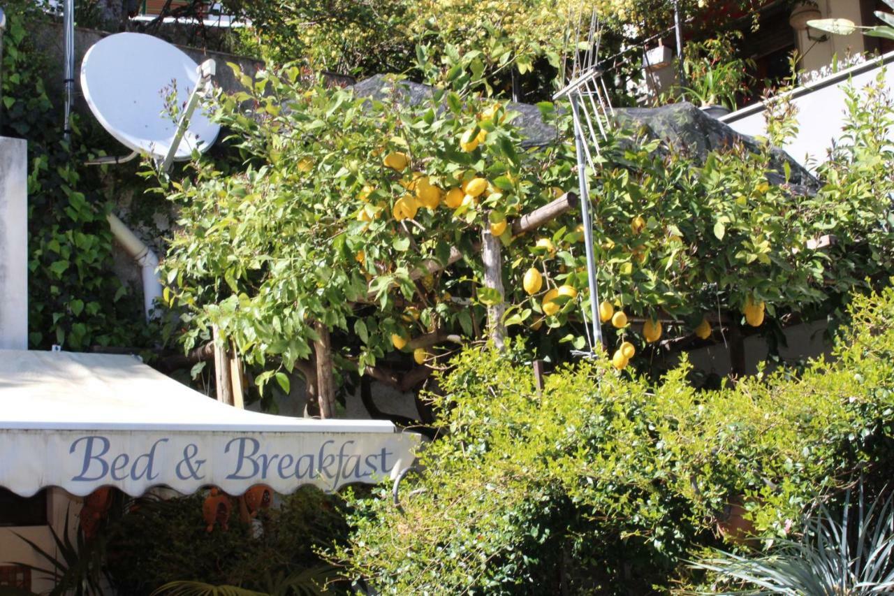 Bed & Breakfast Casa Anna Rita วิเอตริ ภายนอก รูปภาพ